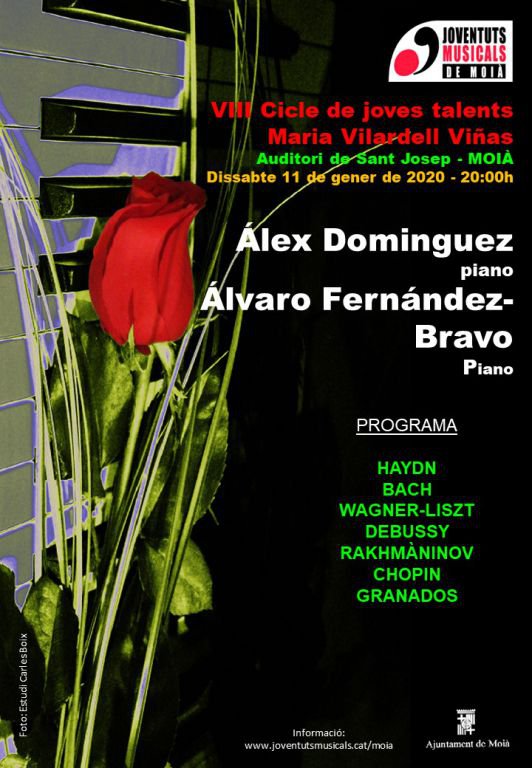 cartell-alex-alvaro2020