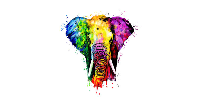 Hora del conte: “Disfressant l’elefant”