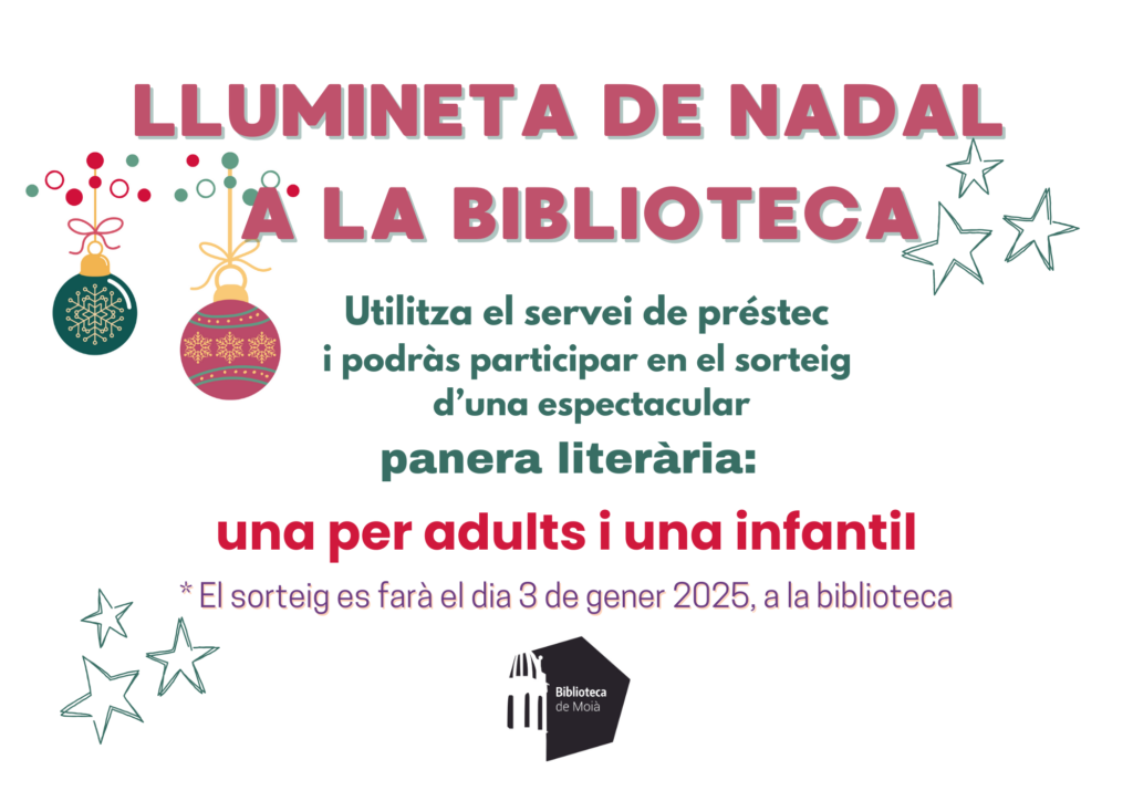 LLUMINETA DE NADAL 24