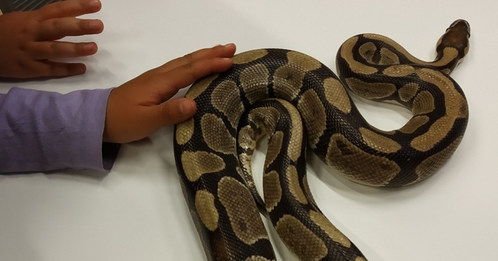 Taller toca toca complet!