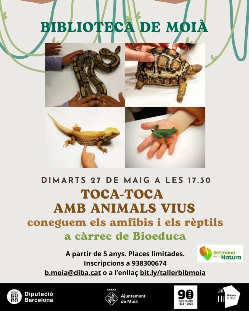 toca toca amfibis i rèptils