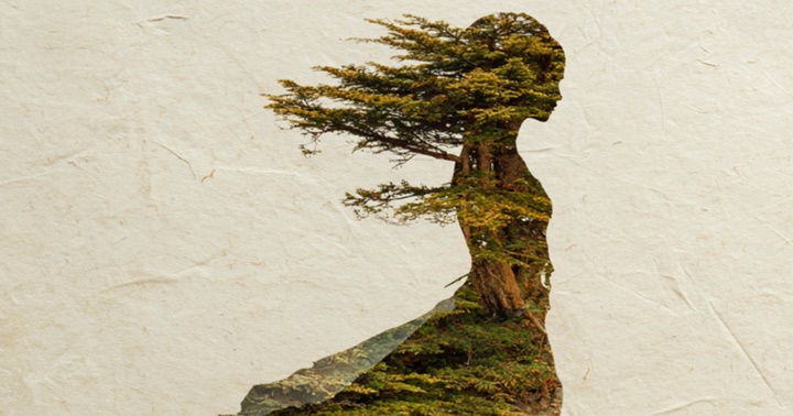 Presentació del llibre ‘Com un bosc de cedres’